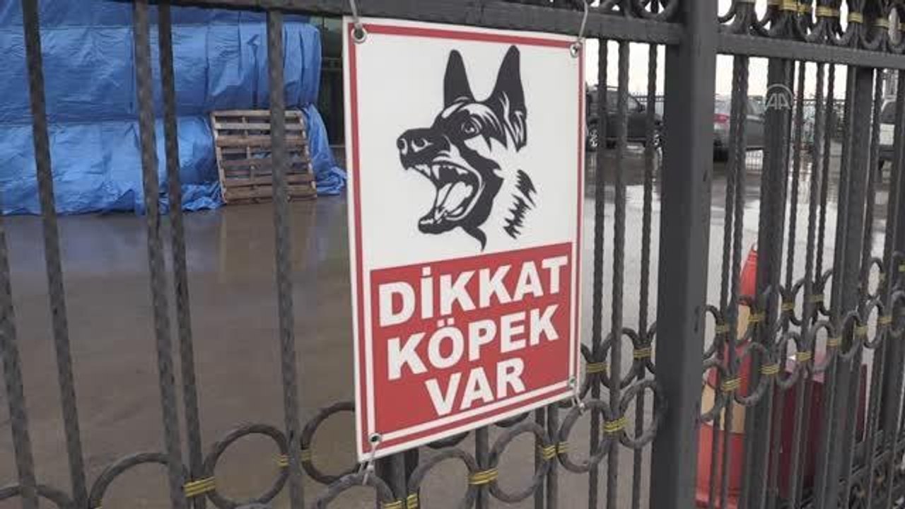 Köpeklerden kaçarken hafif ticari aracın çarptığı temizlik işçisi öldü