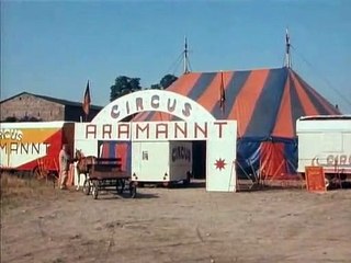 Ein Heim für Tiere - Hasso