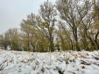 Palandöken Dağı yeniden beyaza büründü