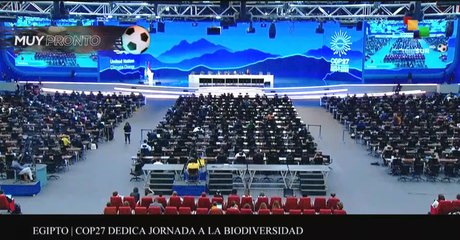 Agenda Abierta 16-11: COP 27 defiende la biodiversidad