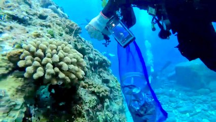 Volunteers Remove Tons of Trash From Taitung Beaches - TaiwanPlus News