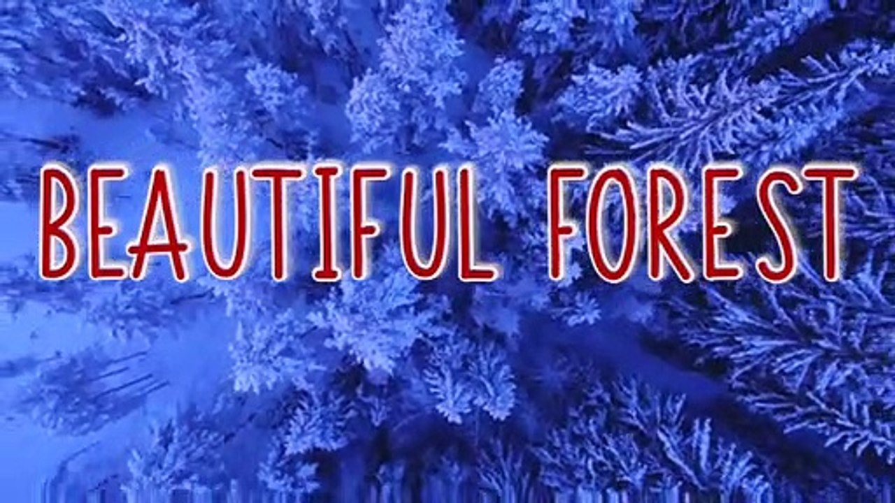 BEAUTIFUL FOREST
