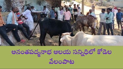 కొడంగల్: అనంత పద్మనాభ స్వామి కోడెల వేలంపాట