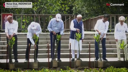 Rússia ausente em evento ecológico do G20 num mangal da Indonésia