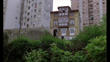 Mario Camus según el cine - Tráiler