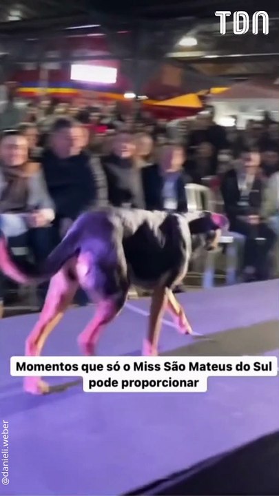 Un chien vole la vedette aux candidates d'un concours de beauté