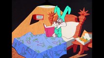 Looney Tunes - Coyote Vs Rabbit - WB Kids