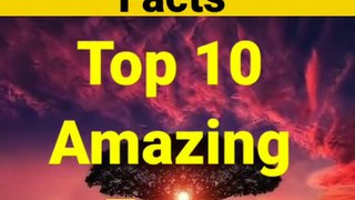 Top 10 amazing facts shorts facts #Tigersaab