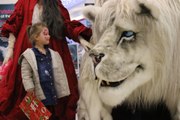 Magical Christmas creatures to be unleashed at Mansfield shopping centre this December