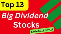 Top 13 New Dividend Stocks |Updated Announcement|Continue Dividend Paying Stock|Dividend in November