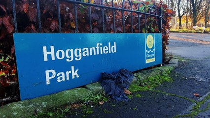 Bird flu- 15 swans found dead in Hogganfield Loch Glasgow