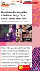 Berita artis