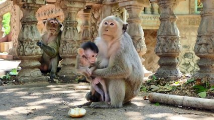 Million Pity....Mother Mlika Shaking Her Baby Mira Not To Give Milk