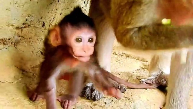 My Angel Lizza Sad Face Lizza hungry hurt face angry mom weaning milk.