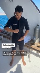 Could Red Sea Coral be the Key to Preserving Ocean Health?