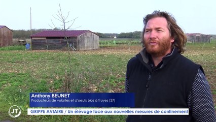 Le Journal - 16/11/2022 - GRIPPE AVIAIRE / Un élevage face aux nouvelles mesures de confinement