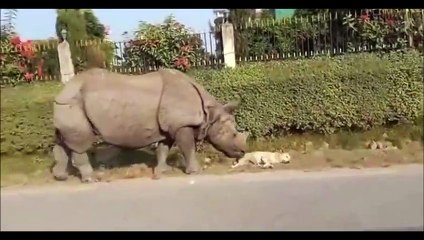 C'est ce qu'on appelle un réveil flippant