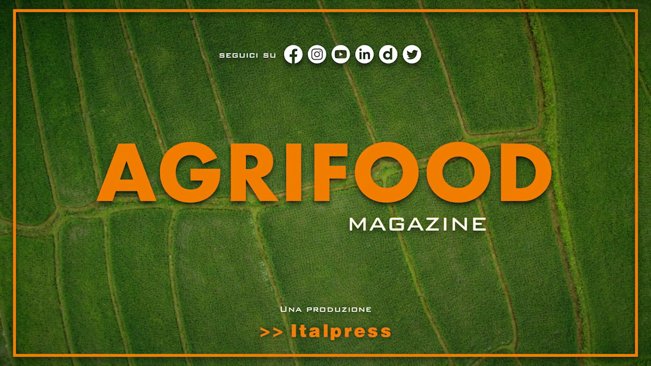 Video Agrifood Magazine - 16\/11\/2022