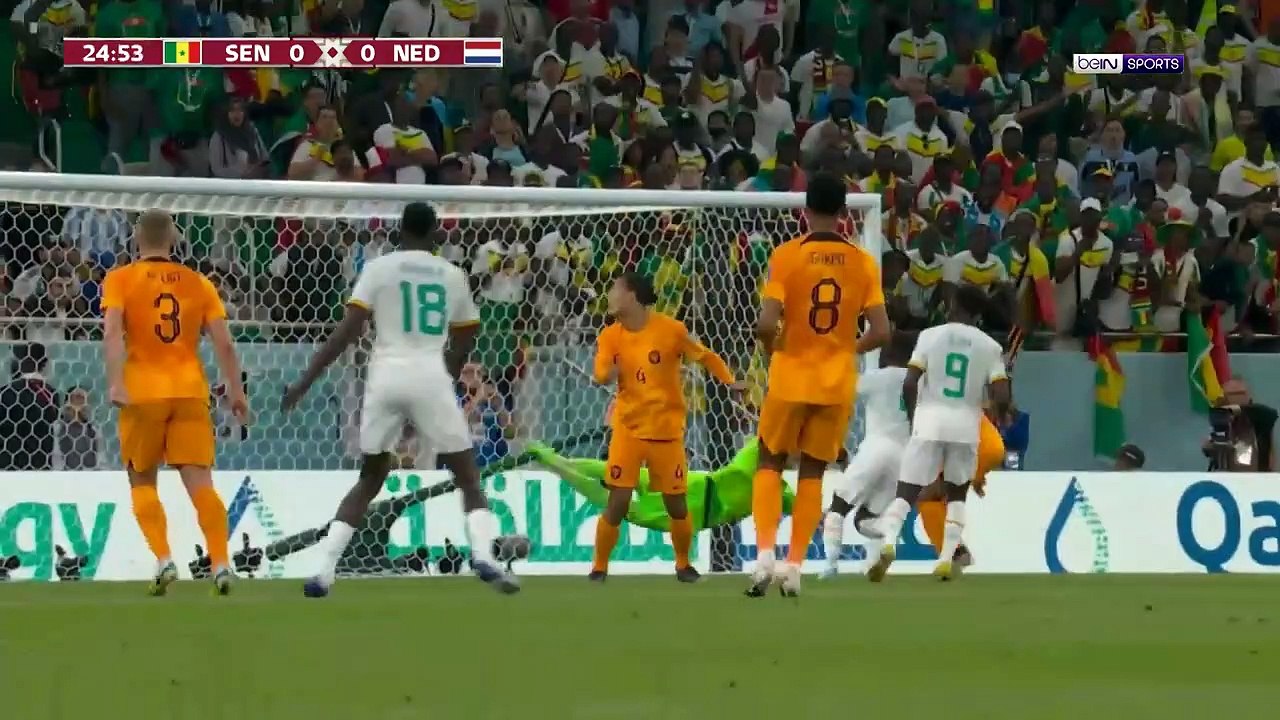 ملخص مباراة السنغال وهولندا (0-2)