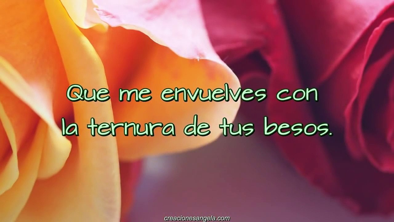 UNA ROSA PARA TI... Que me Alegras la Vida
