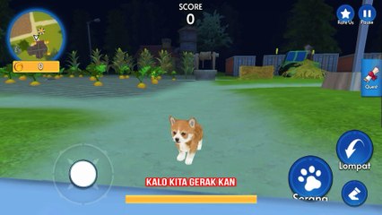 Momen Lucu Ketika Main Game Dog Simulator