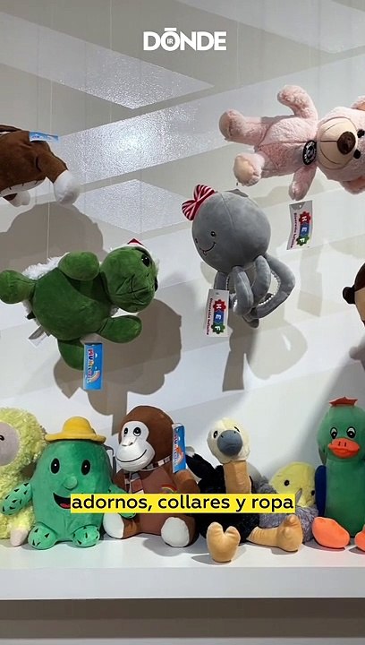 El Museo de las Relaciones Rotas llega a CDMX ¡Ya dile adiós a tu ex!