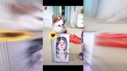Animal Funny Videos 2022  - Best Dogs And Cats Videos #shorts #viral #viralvideo