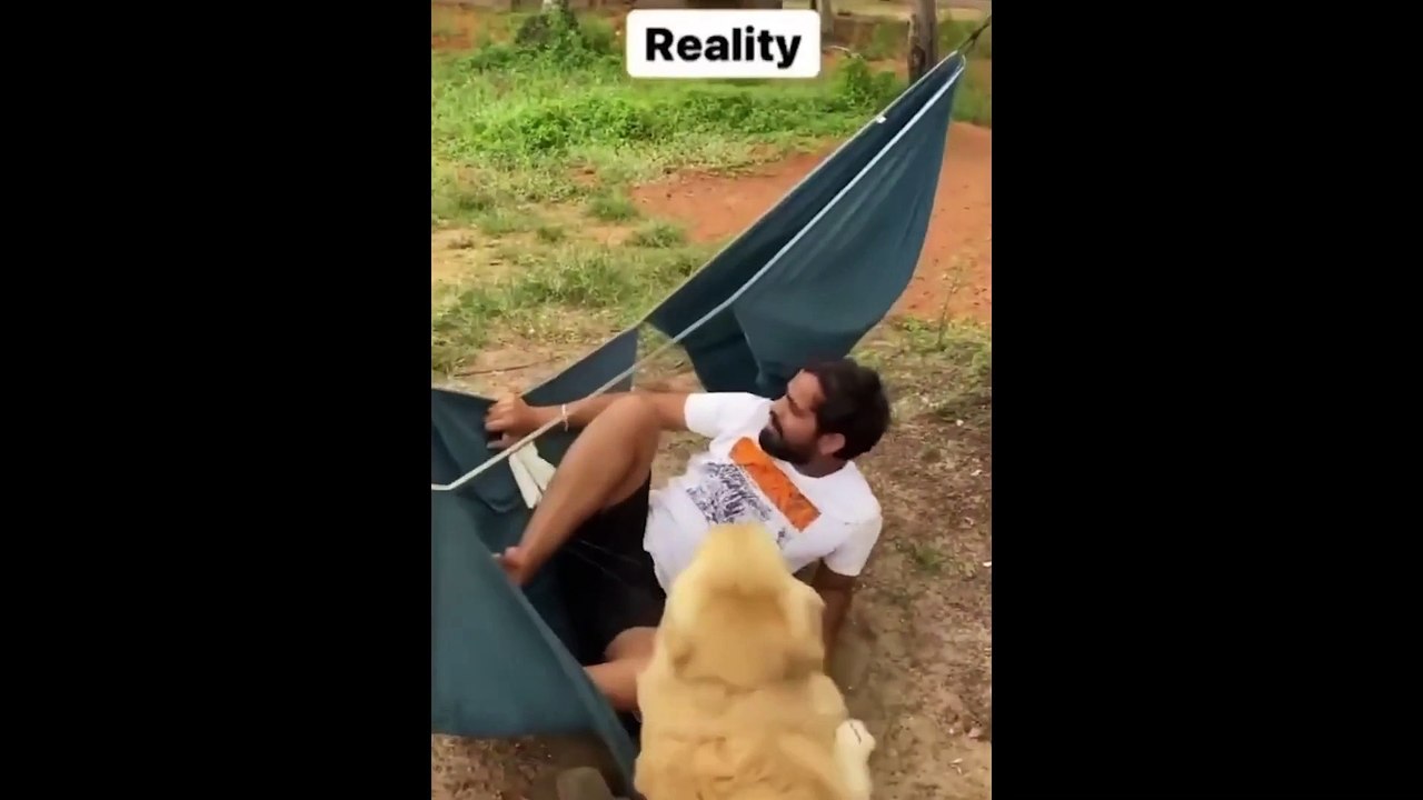 Funny Animal Videos 2022   # 1