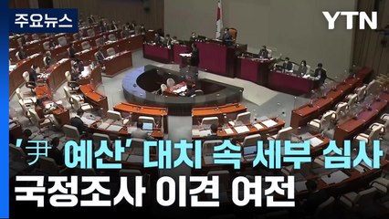 '尹 예산' 대치 속 세부 심사...국정조사 이견 여전 / YTN