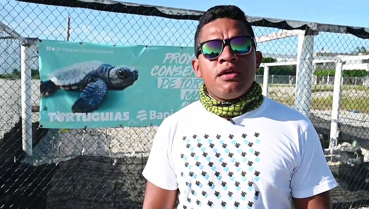 Chame, la playa de Panamá entre la conservación y el tráfico de tortugas