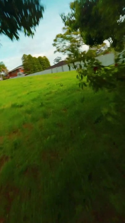 What if you could fly through the trees? What would you see...? Sydney Australia Drone View