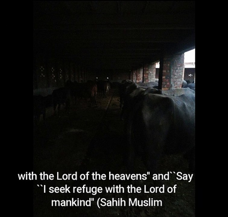 Mauzteen||معوذتین|| quran surat. Qull must read daily. Allah save you from all evil and disease