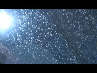 Winter Storm Warning Issued for Northern Indiana Due to Heavy Lake Effect