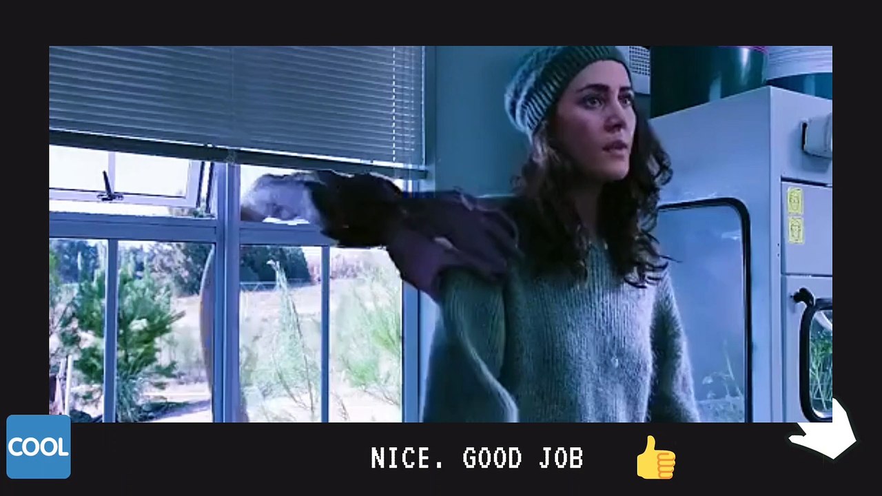 Top Video 2022