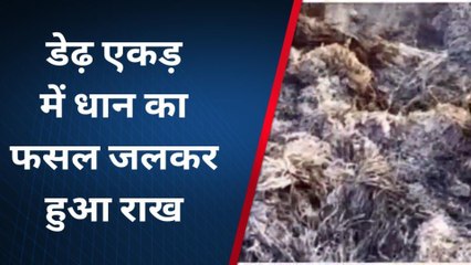 खगड़िया: असमाजिक तत्वों ने धान के फसल में लगाई आग, पीड़ित ने थाने में दिया आवेदन