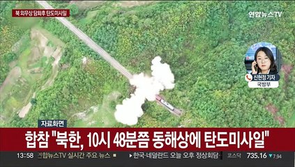 북 외무상 담화 직후 미사일 도발…한미 미사일 방어훈련