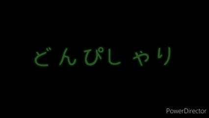 どんぴしゃり(JAPANESE SINGER)