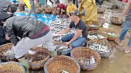 Banyak nya Ikan Di Pasar Lampulo