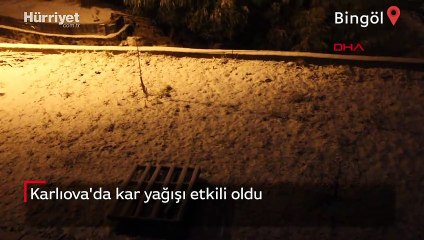 Karlıova'da kar yağışı etkili oldu