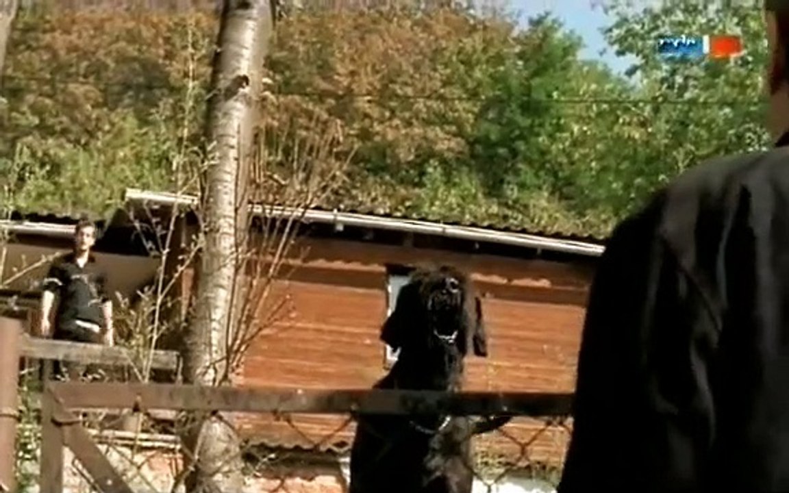 Polizeiruf 110 Staffel 35 Folge 3 - Part 01 HD Deutsch