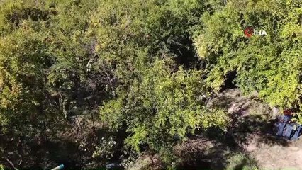 Bilecik İnhisar'da nar 5 TL pazarda ise 10 TL