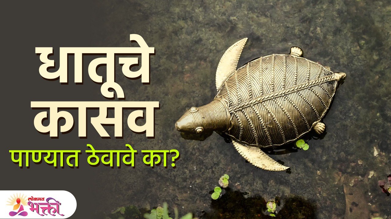 कासव घरात ठेवण्याचे फायदे | Vastu tips For Home | Tortoise in Home | Benifits of Tortoise