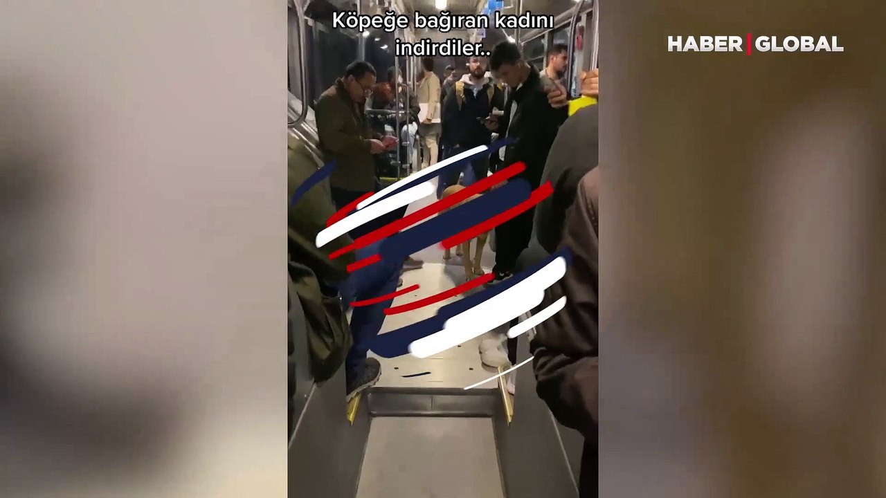 Metrobüste köpek tartışması: Kadın indi, seviml...