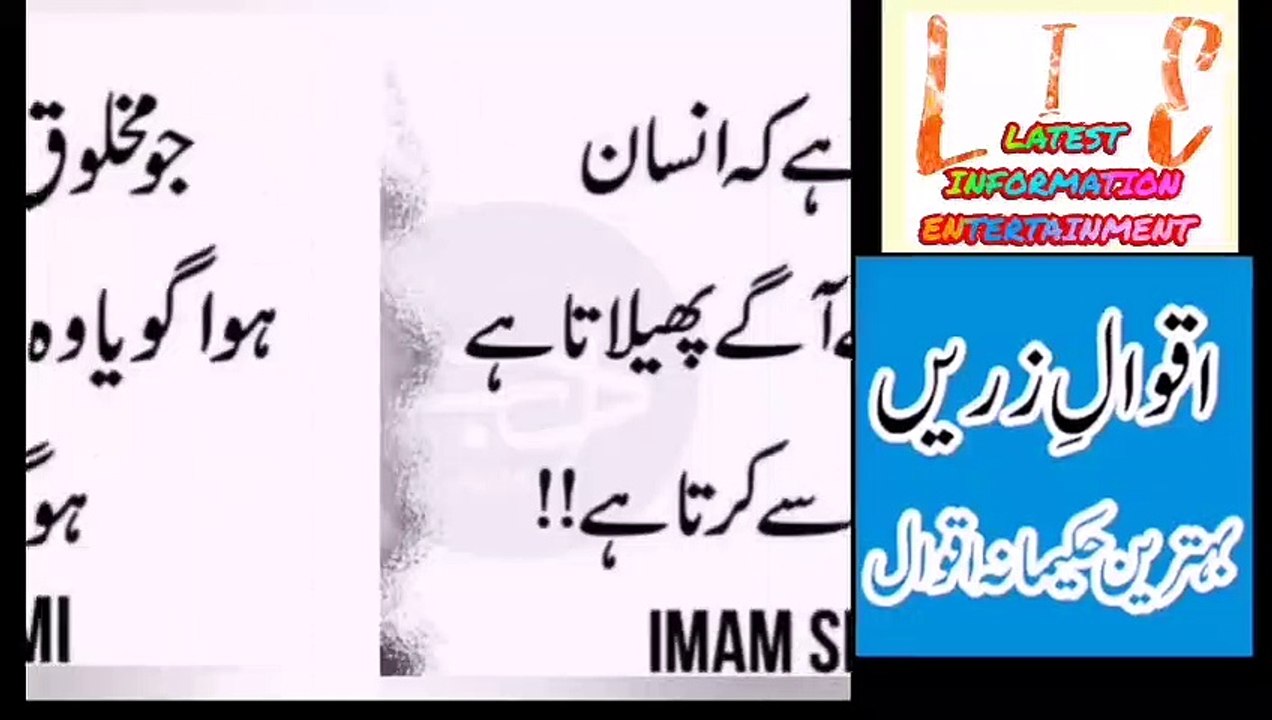 Best collection!! AQWAL E ZAREN IN URDU best words by best personality