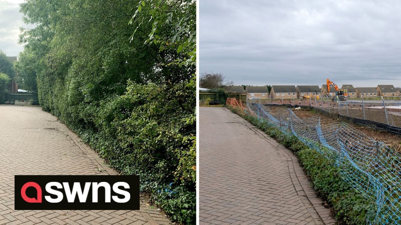 Furious gran blasts developers who ripped out 20ft-high hedge leaving her with view of "big ugly" building site
