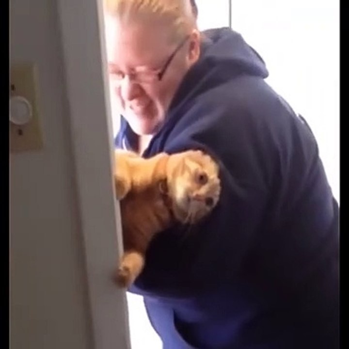 Cat won't come out Video Dailymotion