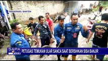 Petugas Damkar Evakuasi Ular Sanca dari Saluran Air Warga saat Bersih-bersih Sisa Banjir!