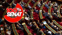 100% Sénat - Projet de loi de finances rectificative pour 2022 : Examen au Sénat (16/11)