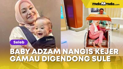 Baby Adzam Nangis Kejer Gamau Digendong Sule, Nathalie Holscher Malah Kenalkan Pacar Baru
