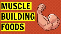Easiest Muscle Building Foods Stop Being Skinny